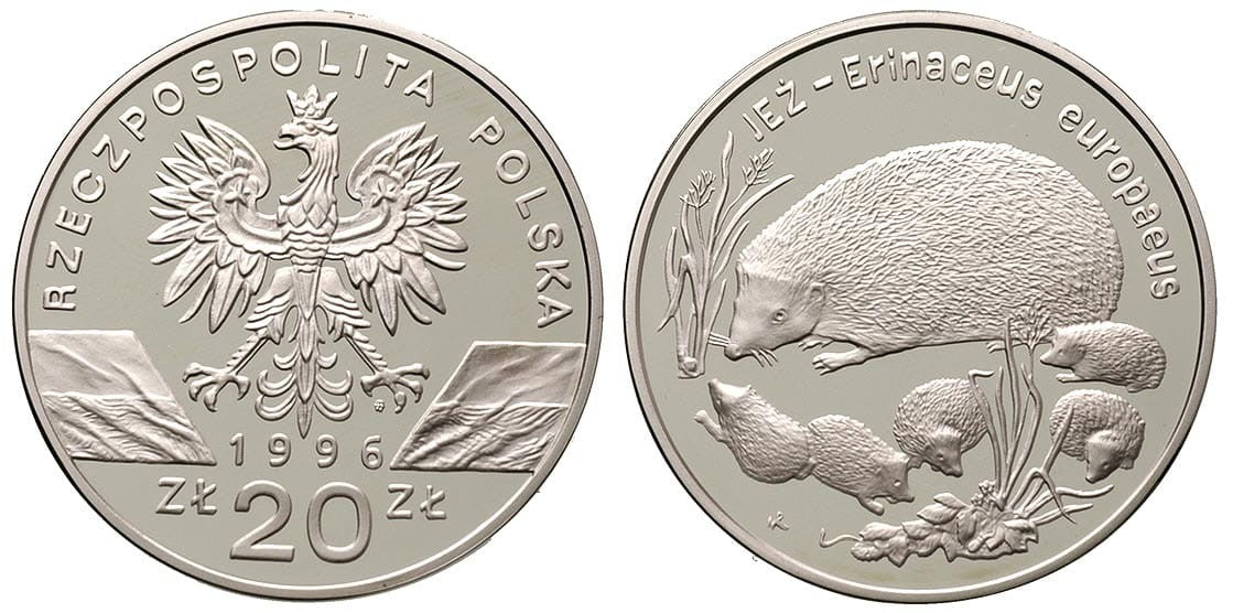 20 zł Jeż (łac. Erinaceus europaeus) 1996