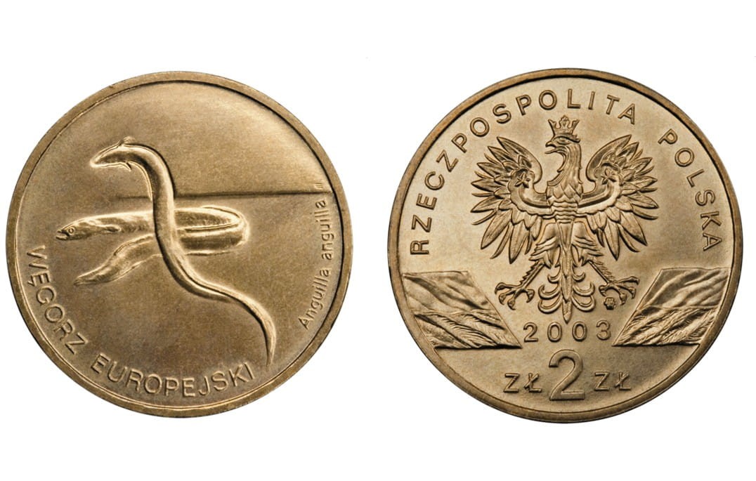 2 zł Węgorz europejski (łac. Anguilla anguilla) 2003